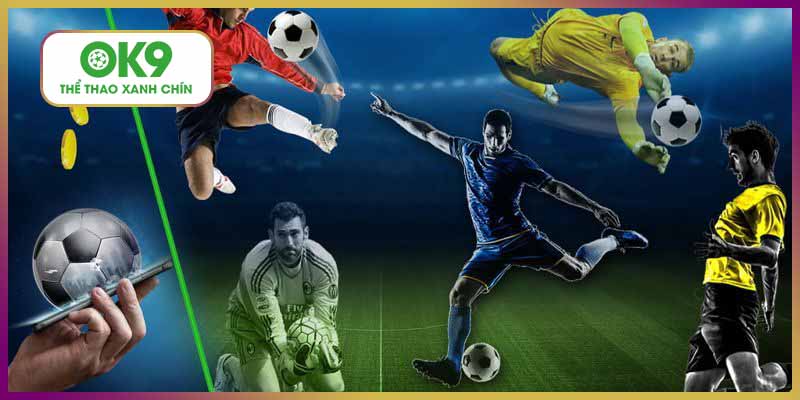 Cá cược thể thao là bộ môn đang được yêu thích tại nhà cái